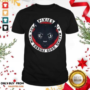 Nice Black Cat Pixies I’m Making Good Friends With You Shirt