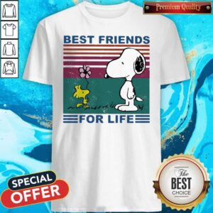 Snoopy And Woodstock Best Friends For Life Vintage Shirt
