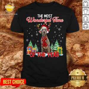 Awesome Weimaraner The Most Wonderful Time Of The Year Ugly Christmas Shirt