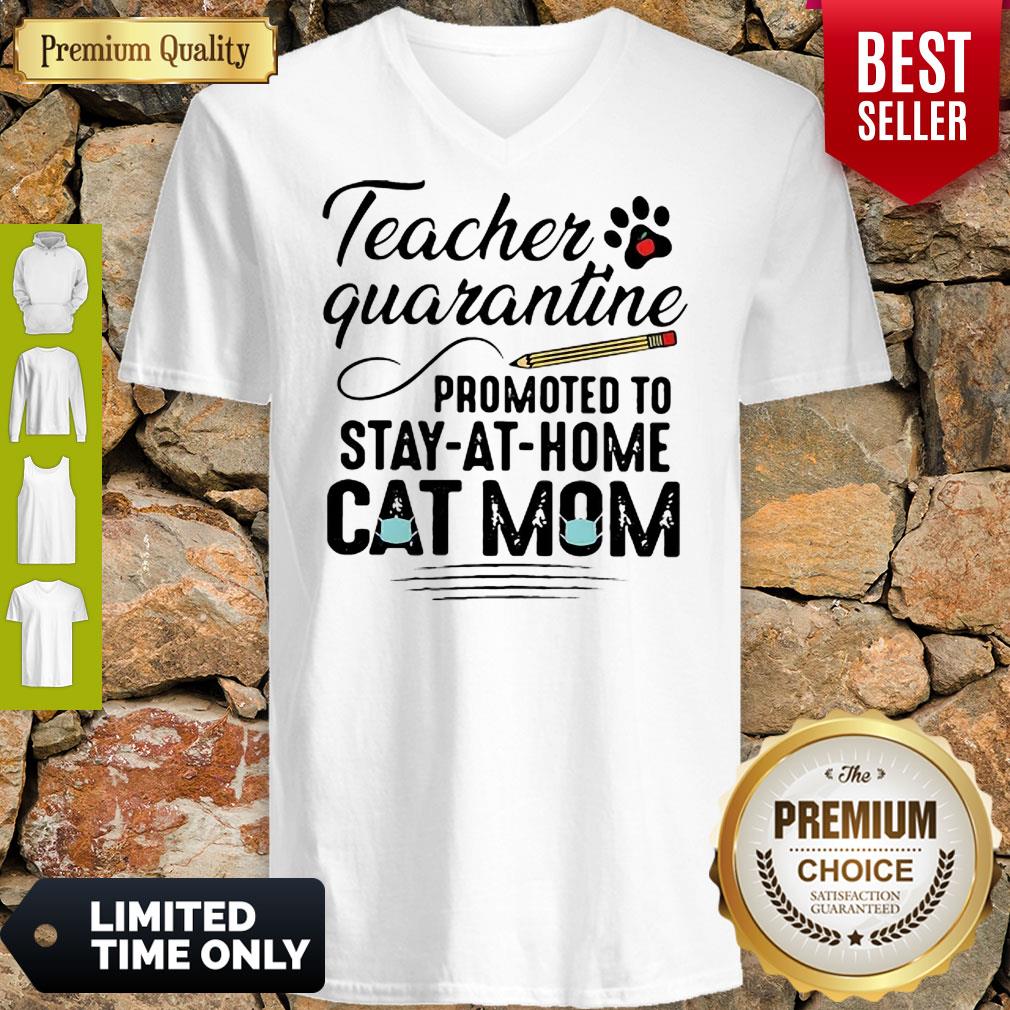Teacher Quarantine Promoted To Stay At Home Cat Mom Shirt - Image 3