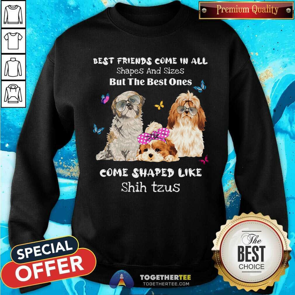 Shih Tzu Best Friends Come All Shapes Shirt - Image 5