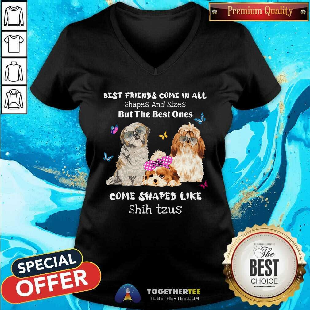 Shih Tzu Best Friends Come All Shapes Shirt - Image 2