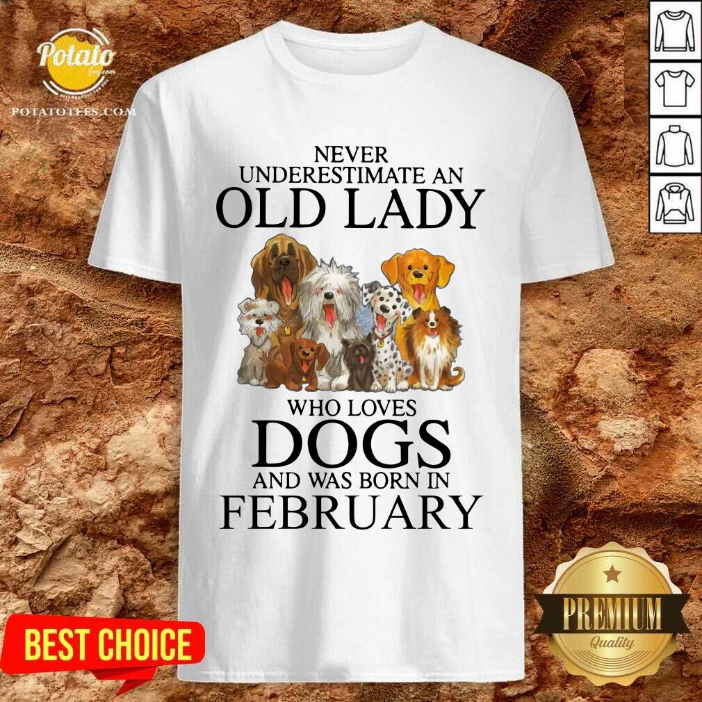 Never Underestimate A Feb Lady Who Loves Dogs Shirt
