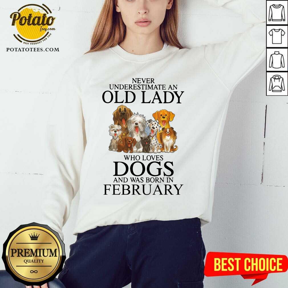 Never Underestimate A Feb Lady Who Loves Dogs Shirt - Image 4
