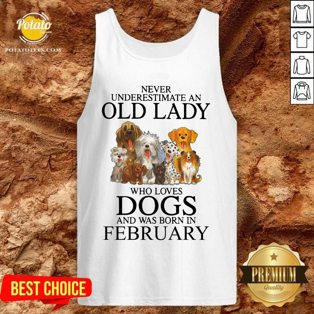 Never Underestimate A Feb Lady Who Loves Dogs Shirt - Image 3