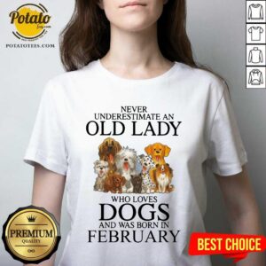 Alternative view of Never Underestimate A Feb Lady Who Loves Dogs Shirt