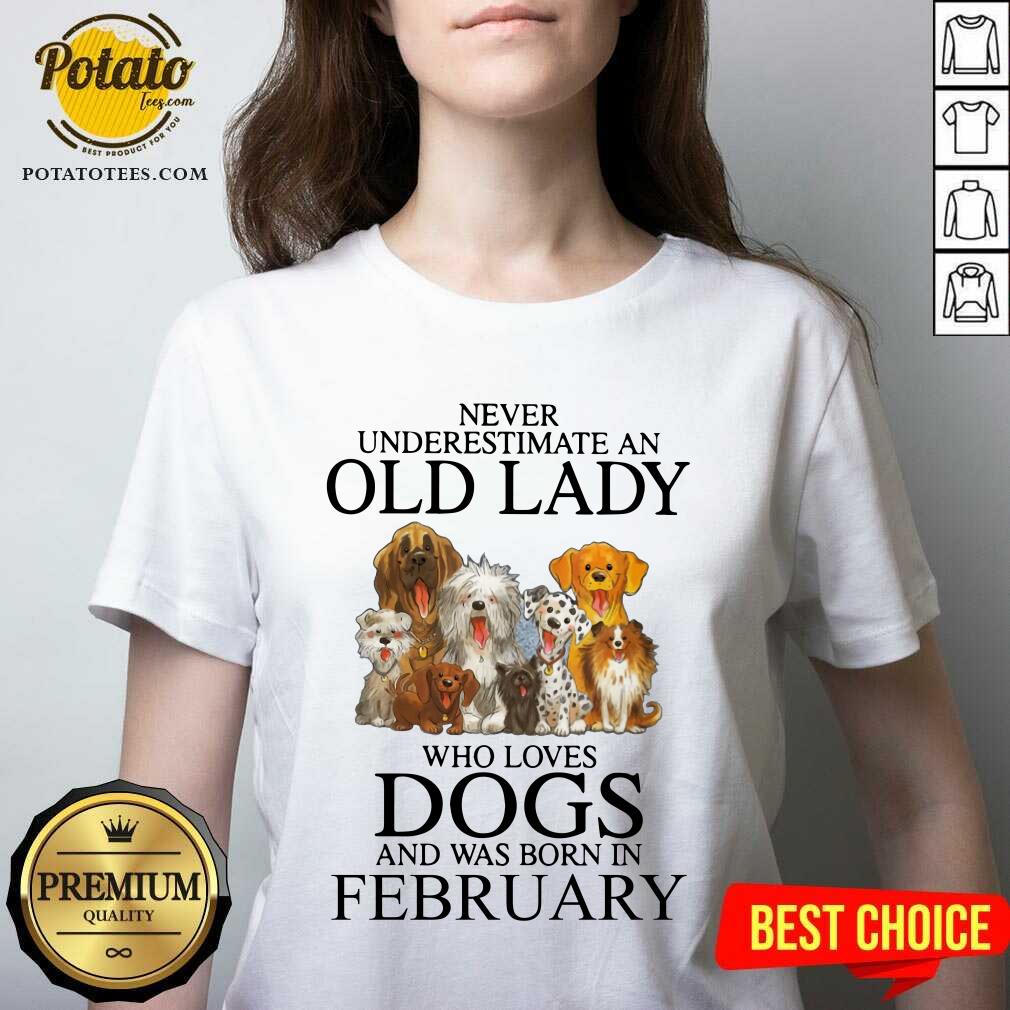 Never Underestimate A Feb Lady Who Loves Dogs Shirt - Image 2
