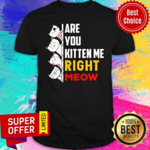 Top Are You Kitten Me Right Meow Shirt