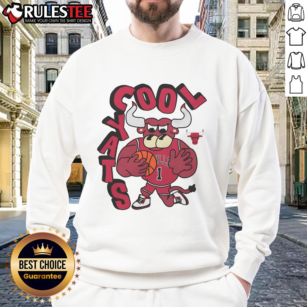 Awesome Chicago Bulls Stadium Essentials NBA X Staycool Mascot T-Shirt - Image 5