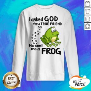 Alternative view of I Asked God For True Friend So He Sent Me A Frog Shirt