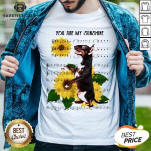 Nice Bull Terrier You Are My Sunshine Shirt