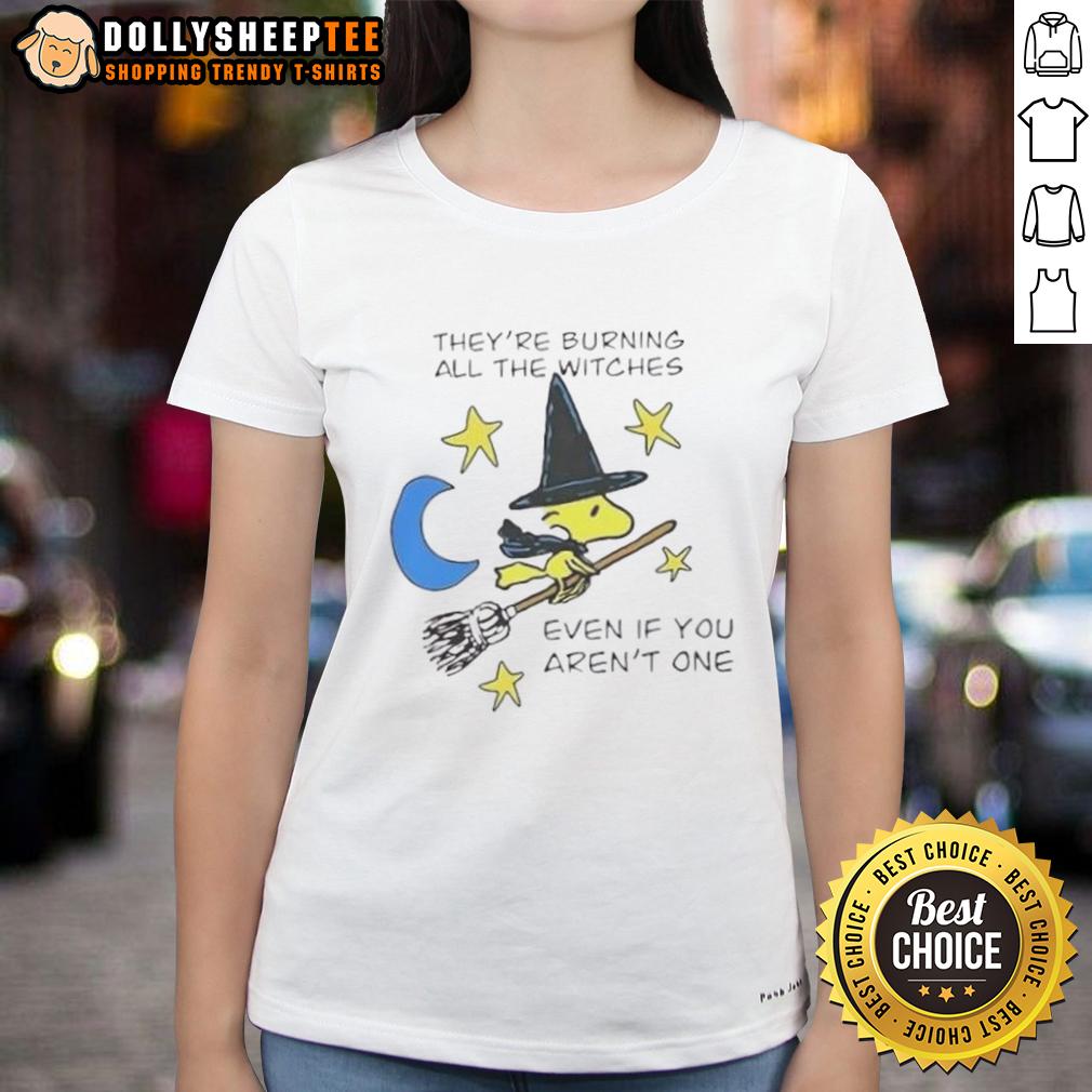 Nice Woodstock Witch They're Burning All The Witches Even If You Aren't One Halloween T-Shirt - Image 2