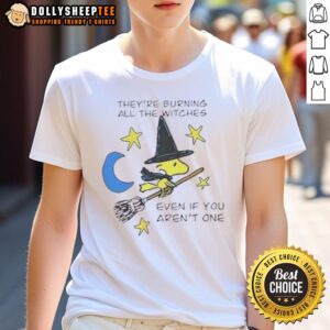 Nice Woodstock Witch They're Burning All The Witches Even If You Aren't One Halloween T-Shirt