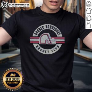 Nice Quebec Nordiques Vintage Surround T-Shirt