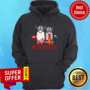 Alternative view of Top Scandinavian Skandinavisches Nordischer Gnome Viking Shirt