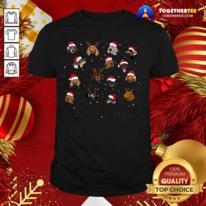 Cute Dogs Santa Merry Christmas Shirt