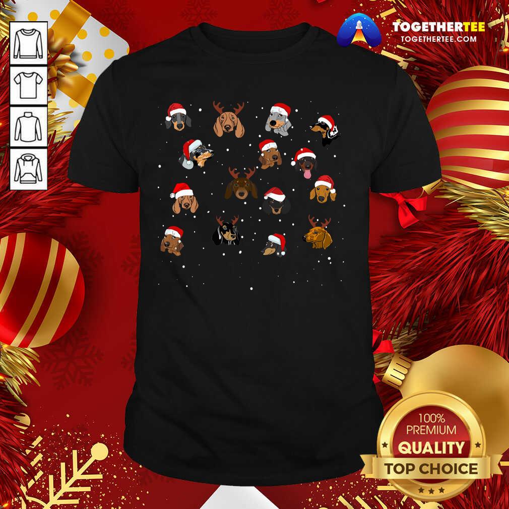 Cute Dogs Santa Merry Christmas Shirt