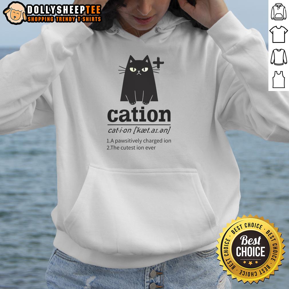 Nice Cation A Pawsitively Charged Ion The Cutest Ion Ever Cat Lover T-Shirt - Image 2