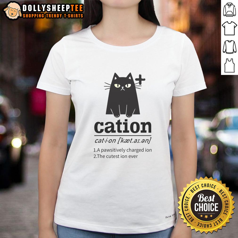 Nice Cation A Pawsitively Charged Ion The Cutest Ion Ever Cat Lover T-Shirt - Image 3