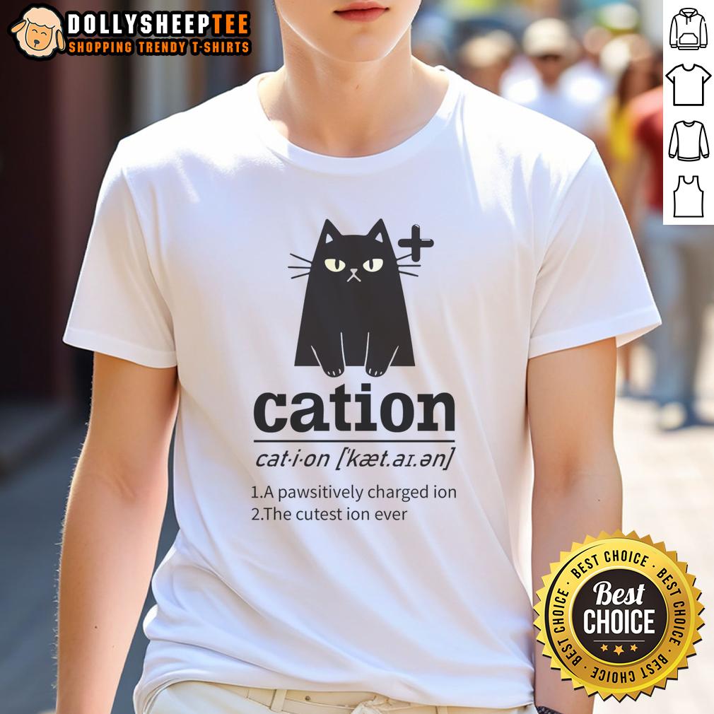 Nice Cation A Pawsitively Charged Ion The Cutest Ion Ever Cat Lover T-Shirt