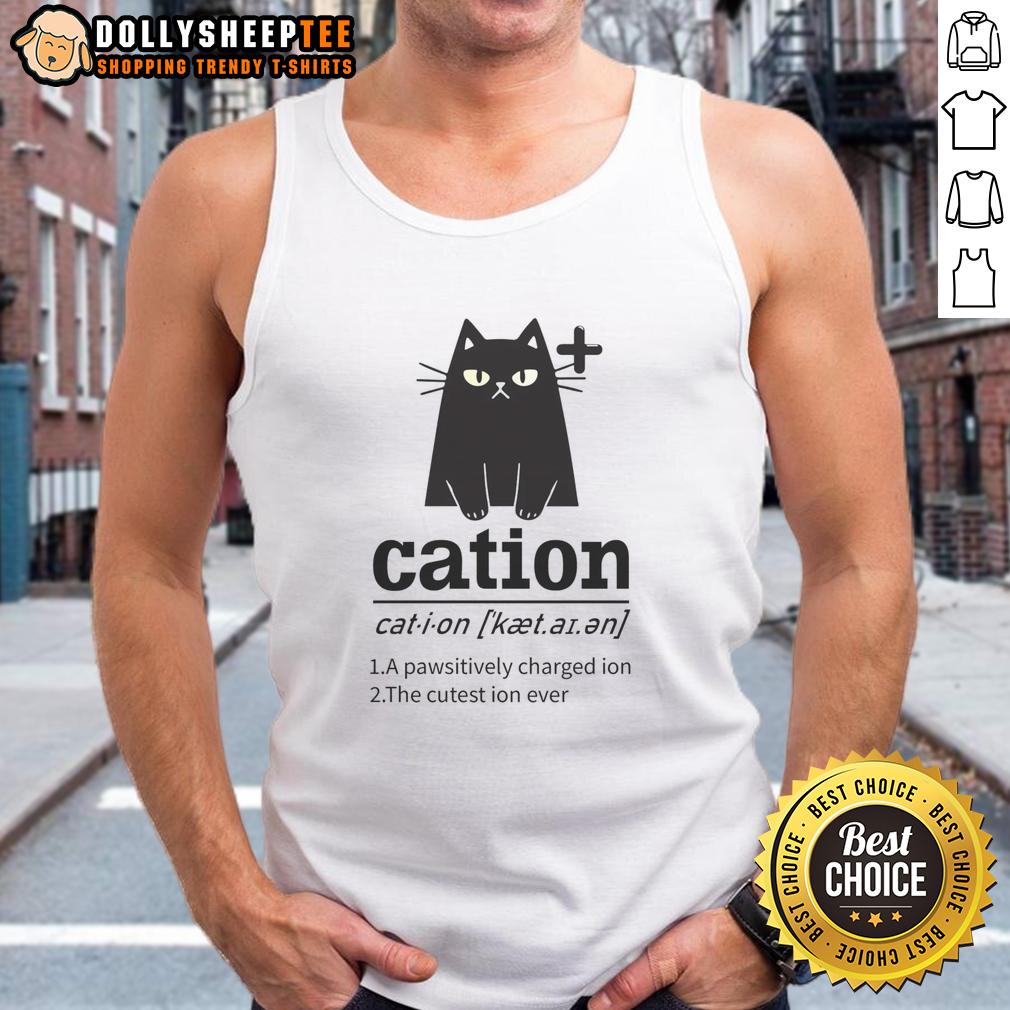 Nice Cation A Pawsitively Charged Ion The Cutest Ion Ever Cat Lover T-Shirt - Image 4