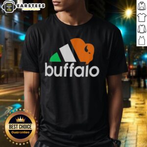 Good The City With Three Seasons Buffalo Bills Logo Parody T-Shirt