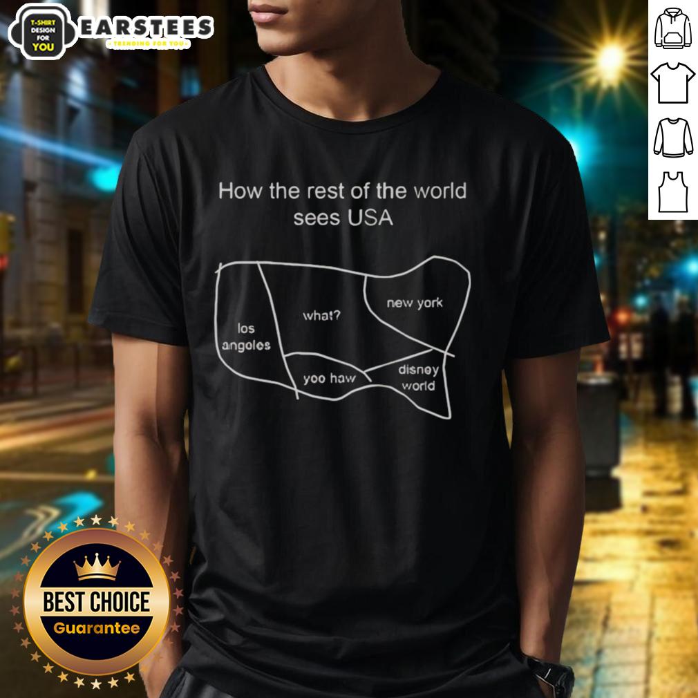 Good How The Rest Of The World Sees Usa T-Shirt