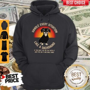 Alternative view of Awesome Pitbull Dog Handle Every Situation Like A Dachshund Shirt