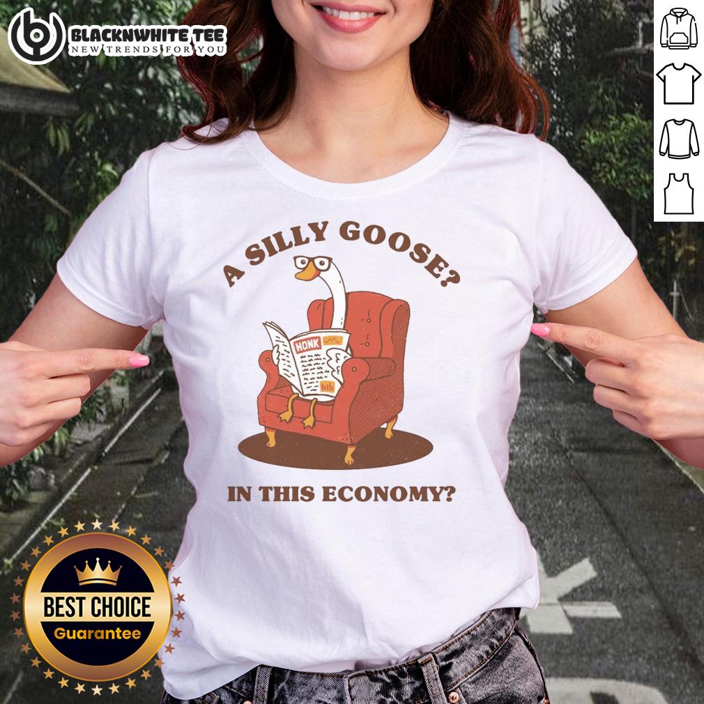 Nice A Silly Goose In This Economy Sensible Goose T-Shirt - Image 3