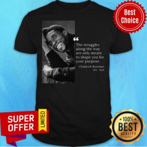 Chadwick Boseman 1976 2020 The Struggles Along The Way Are Only Meant To Shape You For Your Purpose Shirt