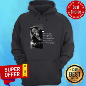Alternative view of Chadwick Boseman 1976 2020 The Struggles Along The Way Are Only Meant To Shape You For Your Purpose Shirt