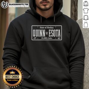 Alternative view of Awesome State Of Hockey Quinn Esota T-Shirt