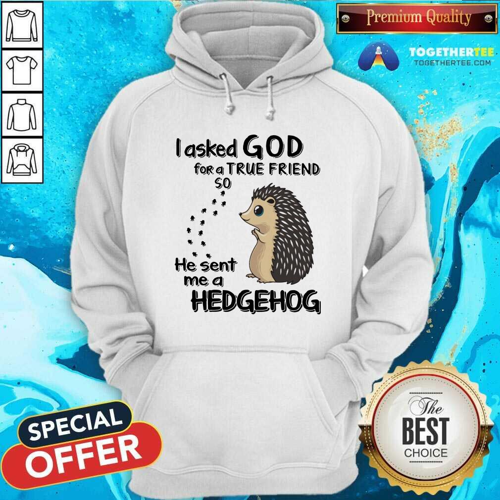 I Asked God For A True Friend Soo He Sent Me A Hedgehog Shirt - Image 5