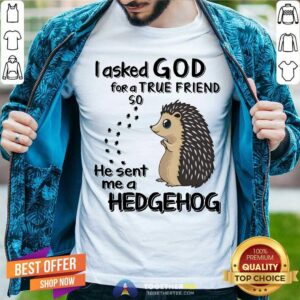 I Asked God For A True Friend Soo He Sent Me A Hedgehog Shirt