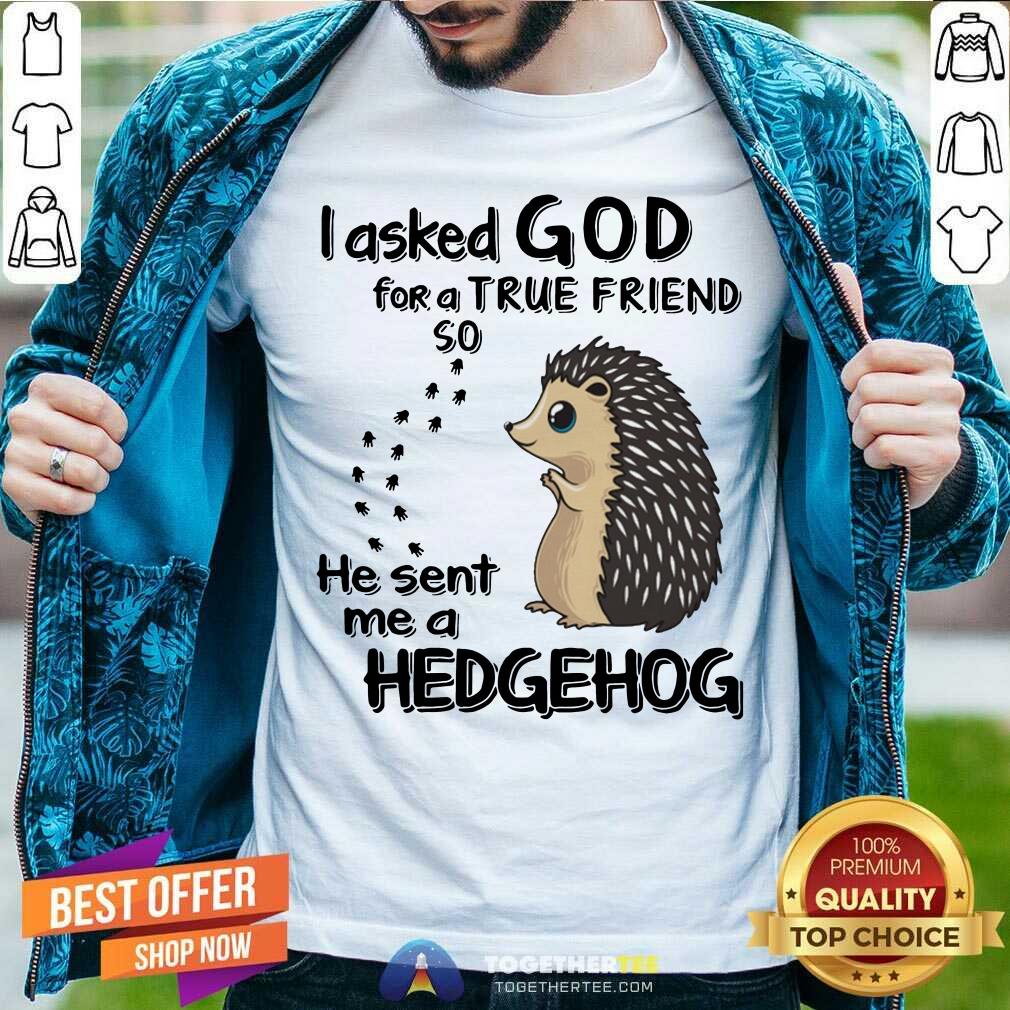 I Asked God For A True Friend Soo He Sent Me A Hedgehog Shirt