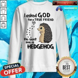 Alternative view of I Asked God For A True Friend Soo He Sent Me A Hedgehog Shirt