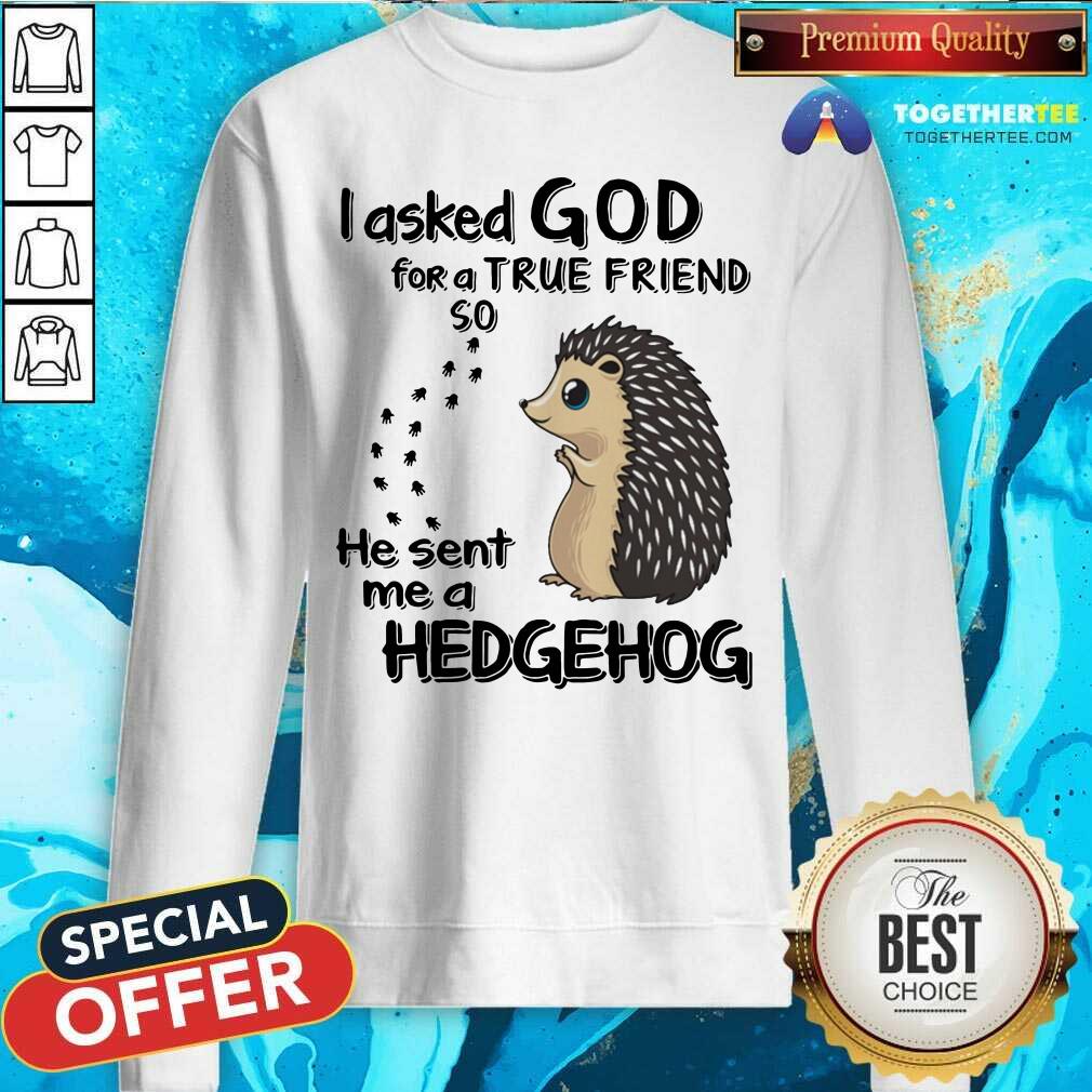I Asked God For A True Friend Soo He Sent Me A Hedgehog Shirt - Image 2