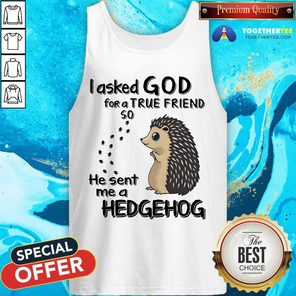 I Asked God For A True Friend Soo He Sent Me A Hedgehog Shirt - Image 4