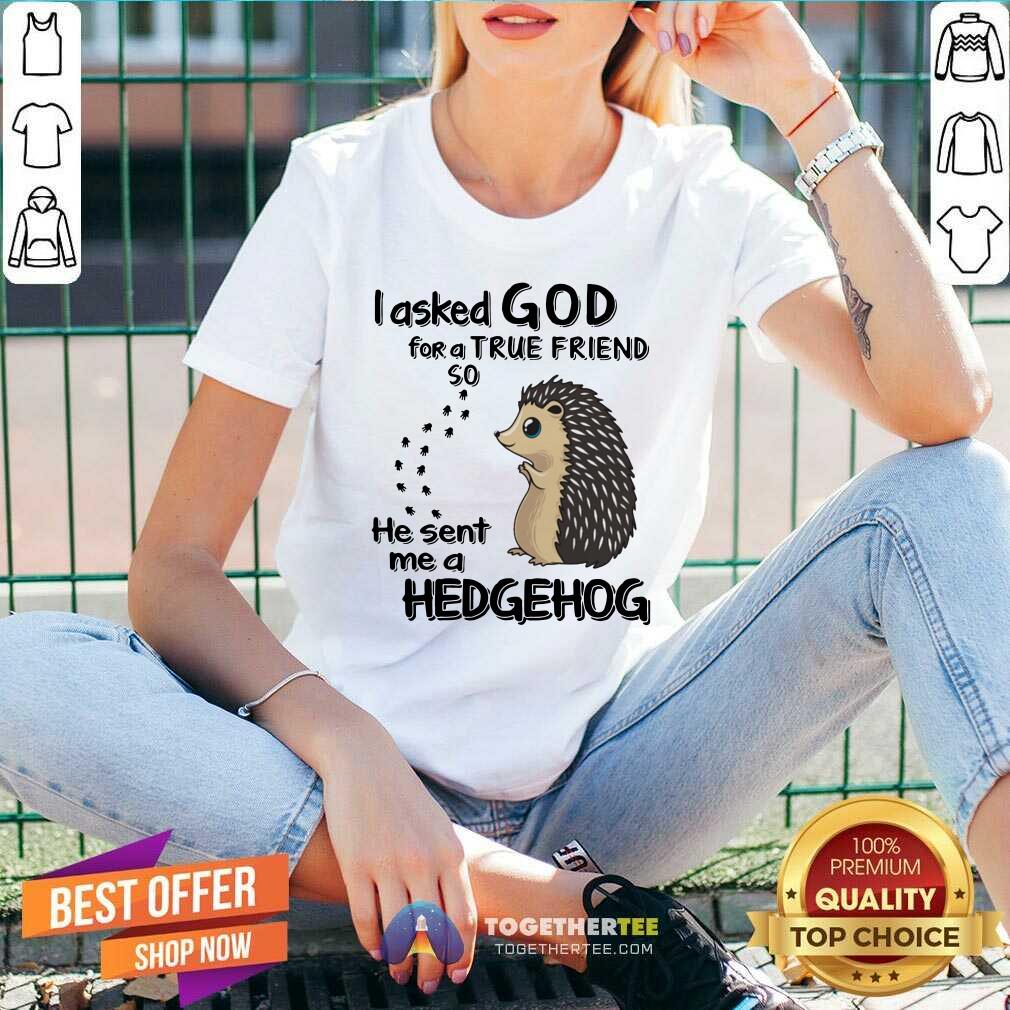 I Asked God For A True Friend Soo He Sent Me A Hedgehog Shirt - Image 3