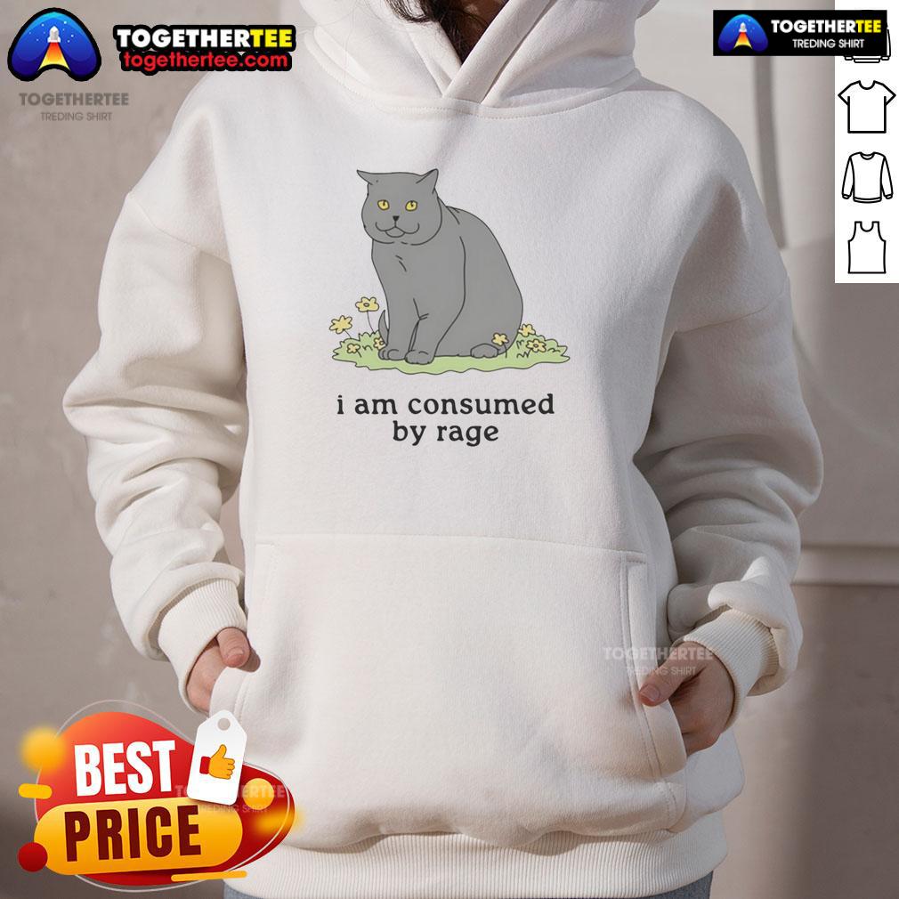 Good Cat I Am Consumed By Rage T-Shirt - Image 6