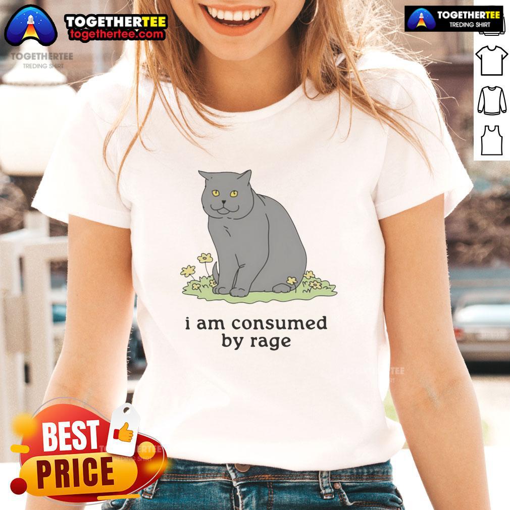 Good Cat I Am Consumed By Rage T-Shirt - Image 5