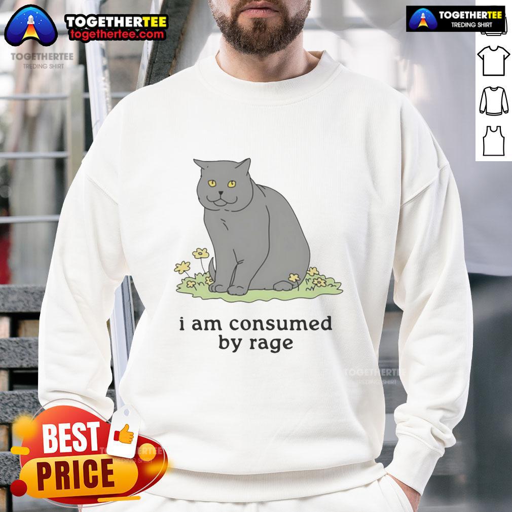 Good Cat I Am Consumed By Rage T-Shirt - Image 3