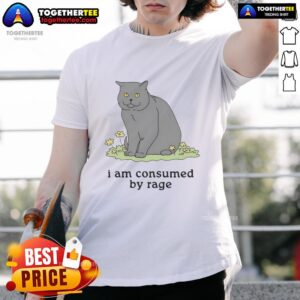 Good Cat I Am Consumed By Rage T-Shirt