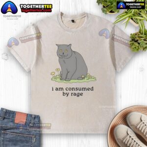 Alternative view of Good Cat I Am Consumed By Rage T-Shirt