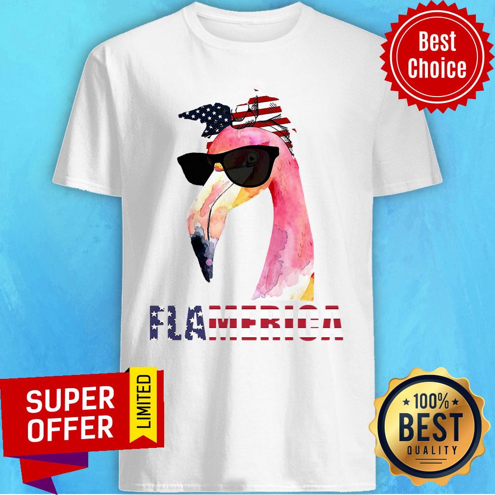 Nice Flamerica America 4th Of July Independence Day Flamingo Shirt
