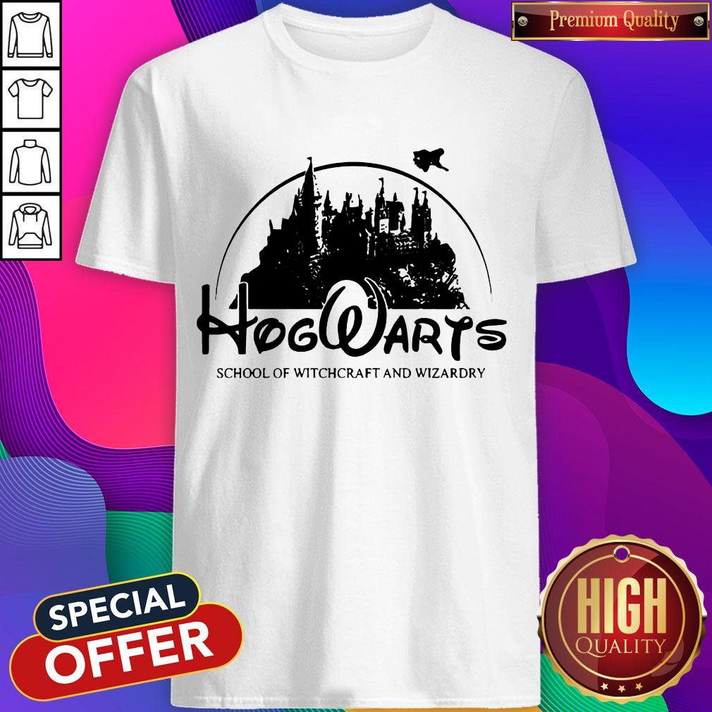 Disney Land Hogwarts School Of Witchcraft And Wizardry Shirt