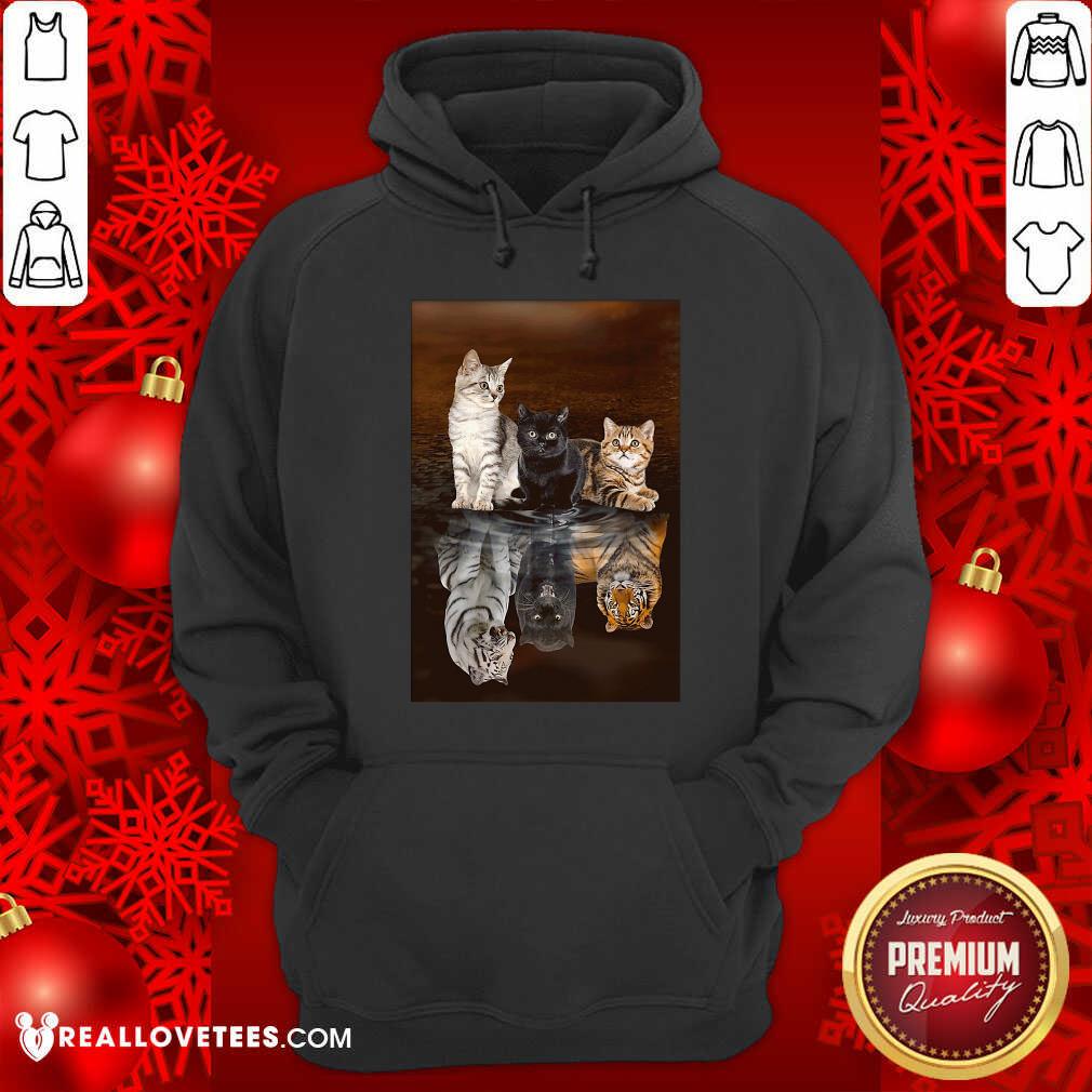Funny Three Cat Tiger Reflections 5d Diamond Diy Shirt - Image 4