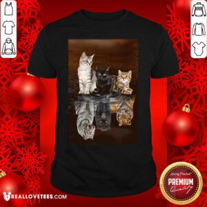 Funny Three Cat Tiger Reflections 5d Diamond Diy Shirt