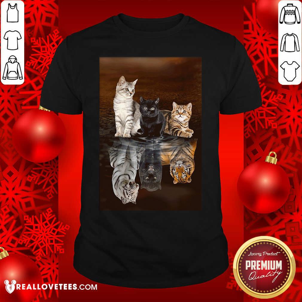 Funny Three Cat Tiger Reflections 5d Diamond Diy Shirt