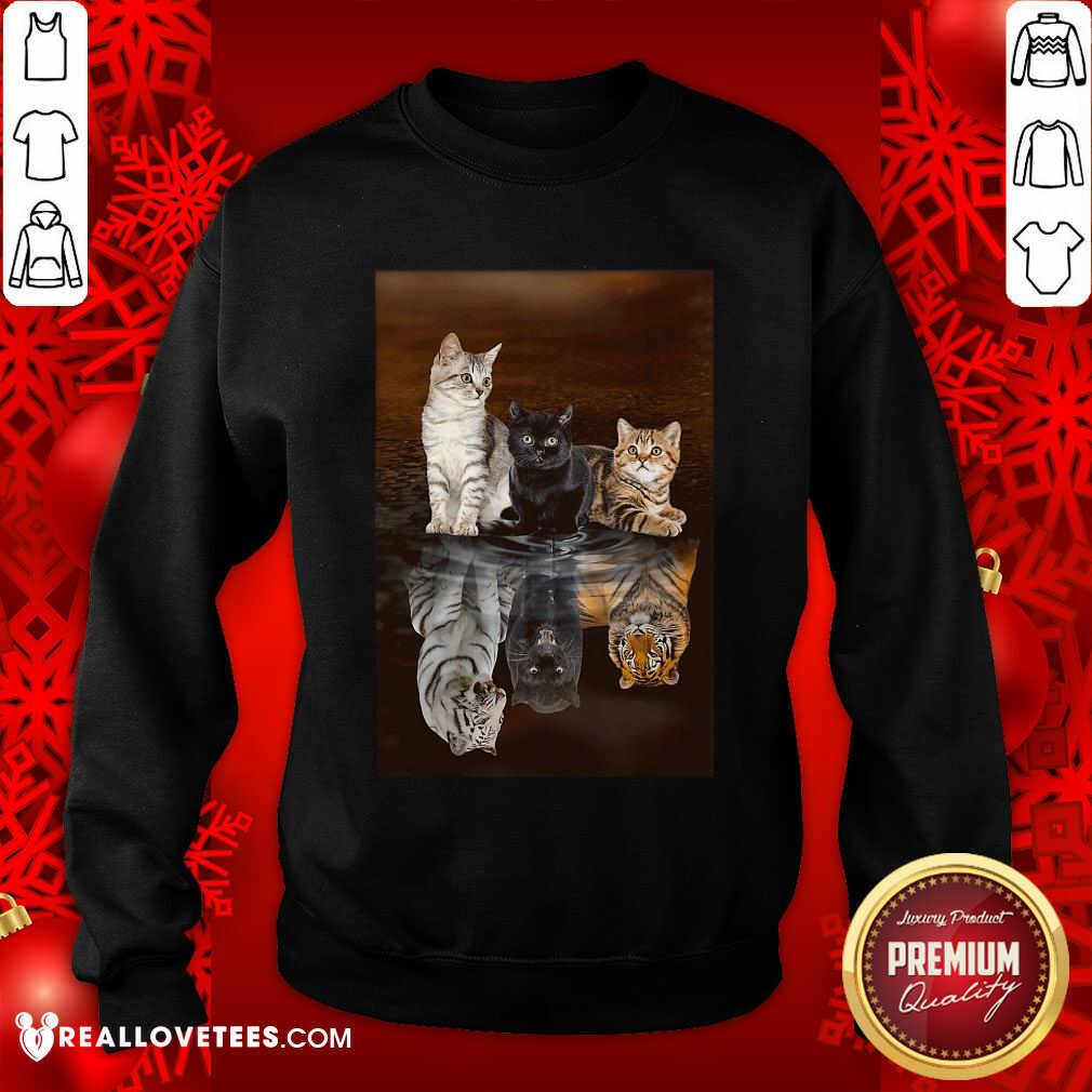 Funny Three Cat Tiger Reflections 5d Diamond Diy Shirt - Image 3